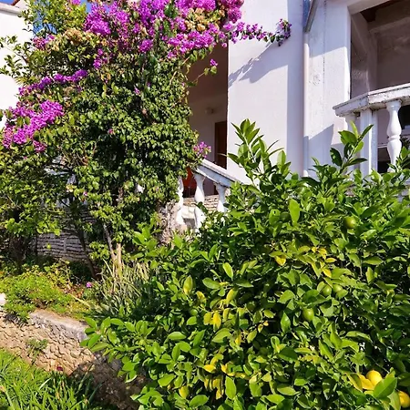 Apartment Fuer 2 Personen Ca 30 Qm In Rabac, Istrien Bucht Von